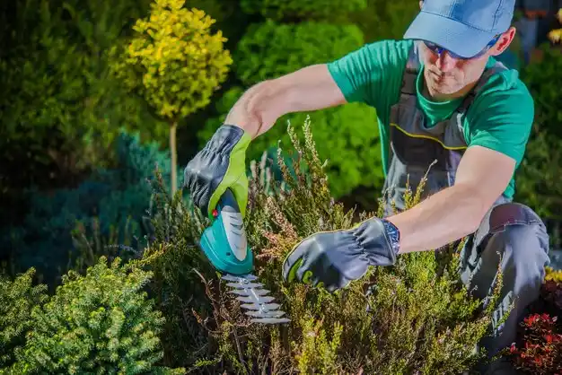 landscaping services Quaker City